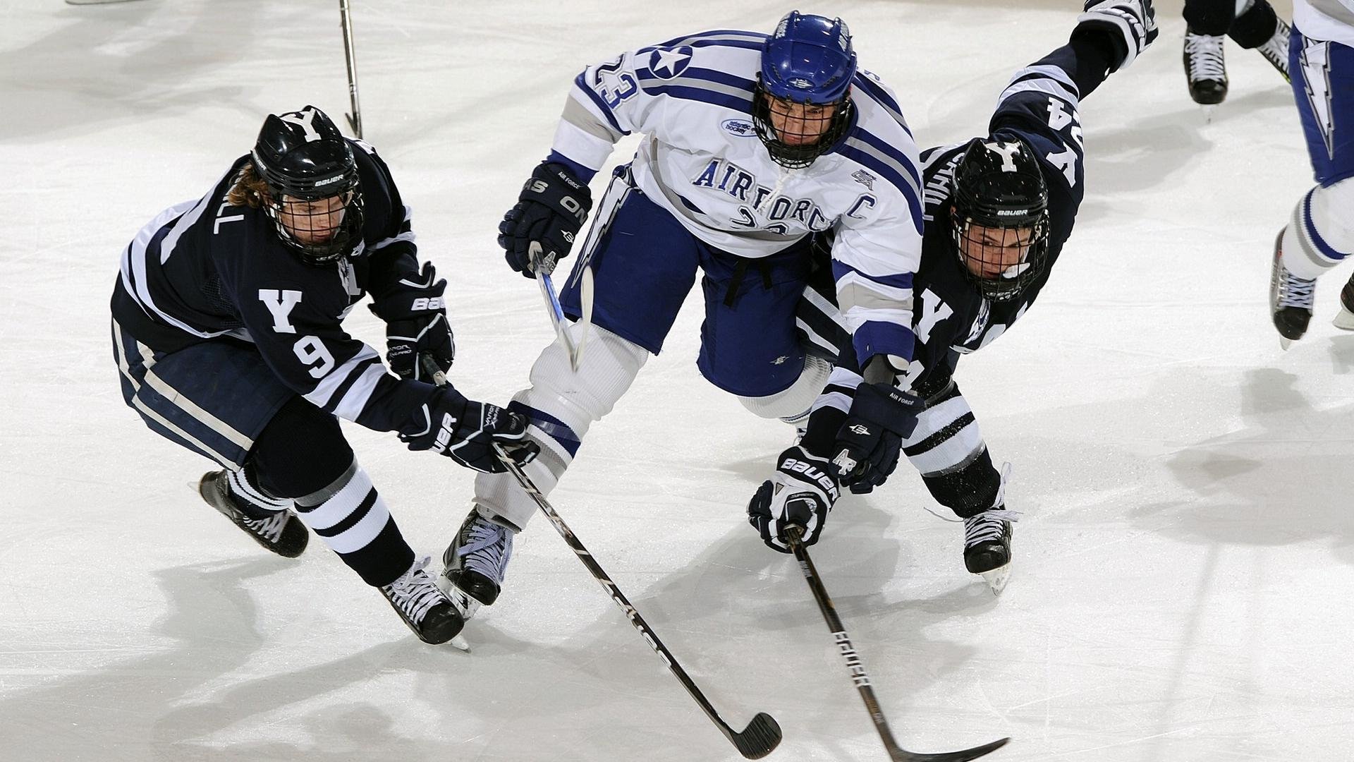 南非橄榄球：成功举办的赛事推动当地经济发展，南非获得橄榄球世界杯